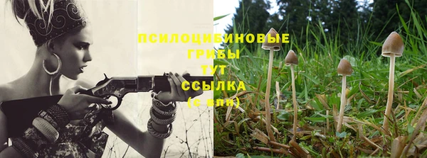 соль ск Абдулино
