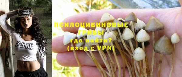бошки Абинск
